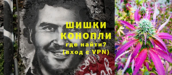apvp Краснослободск
