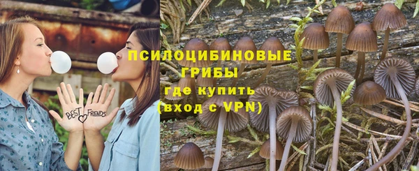 apvp Краснослободск