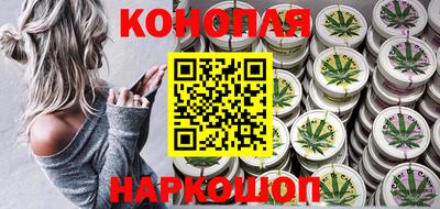 тгк Кингисепп