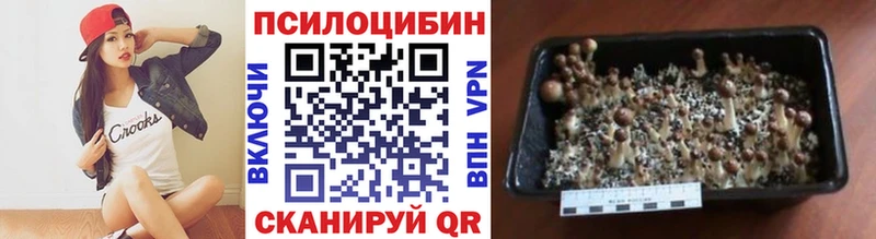 Псилоцибиновые грибы Psilocybe  Кудрово 