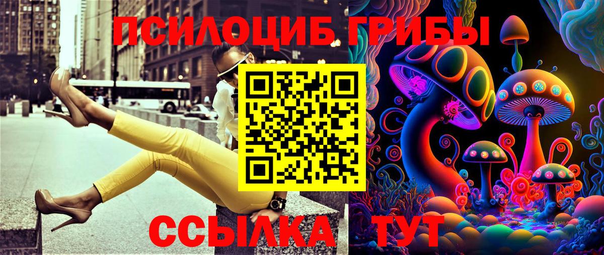 Псилоцибиновые грибы мицелий Кудрово