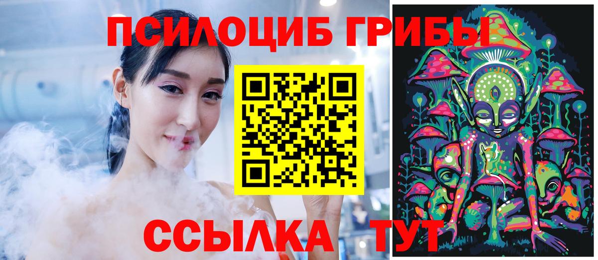 Галлюциногенные грибы Psilocybe  Вход с VPN  где купить наркоту  Псилоцибиновые грибы Magic Shrooms  Кудрово 